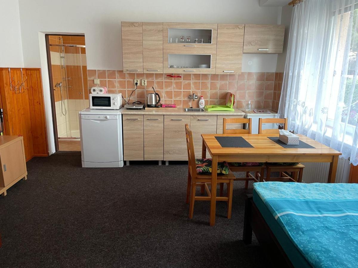 Pensjonat Garsoniera V Roddinem Dome Dubice Zewnętrze zdjęcie