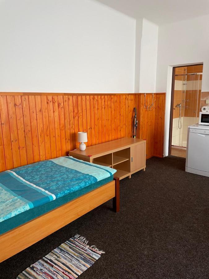 Pensjonat Garsoniera V Roddinem Dome Dubice Zewnętrze zdjęcie